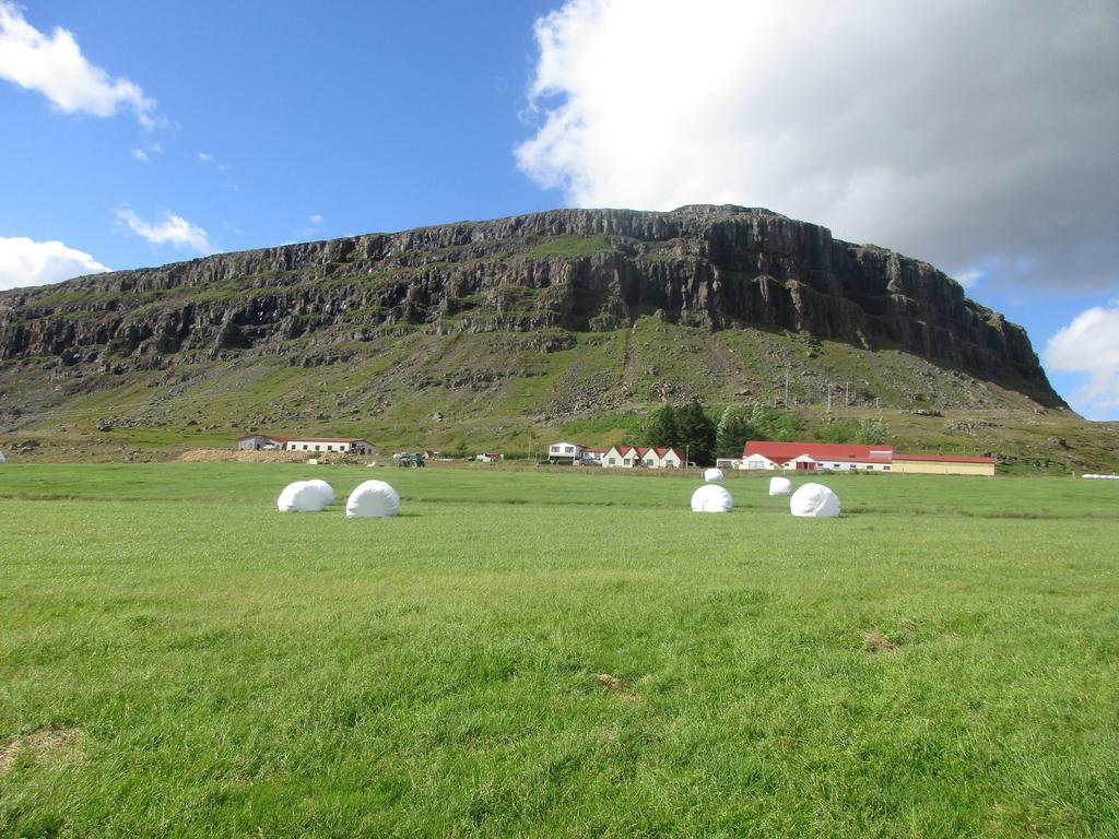 Lindarbrekka Bauernhof Djúpivogur
